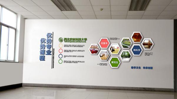 大学教学企业文化墙设计